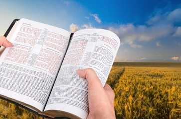 Mission, Bible, evangelism.