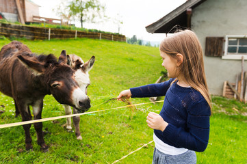 Cute little girl feeds donkey in a farm