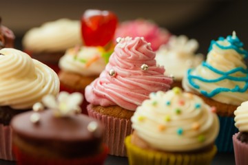 Cupcake, Candy, Multi Colored.