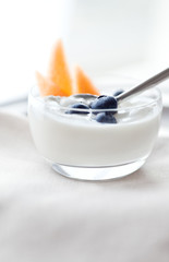 Greek Yogurt, Blueberries & Cantaloupe