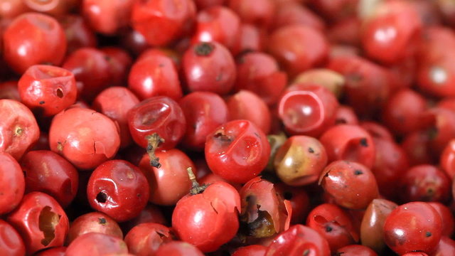 Pink Pepper (also called "Brazil Pepper", "Schinus terebinthifolius") over white background