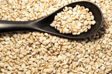 millet background on black ceramic spoon