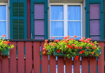 Fototapeta na wymiar the street view in a town,the alps,switzerland,flower,plant,house,blossom,