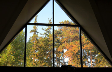 Sunlight on pine trees through triangular-shaped window., with space for text.