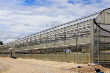 A large greenhouse used to grow different annuals and perennials. 