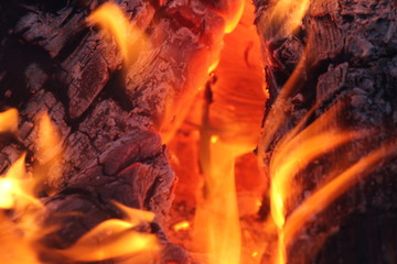 Campfire Closeup
