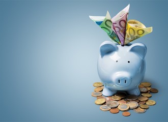 Euro, money, piggybank.