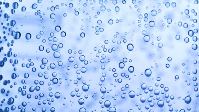 Macro bubbles of water on blue background