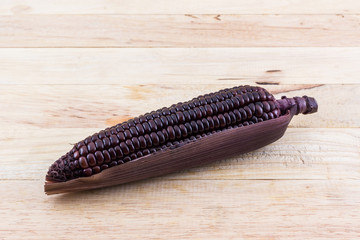 Fresh purple organic corn, Maize.