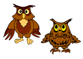 Cute brown owls cartoon characters