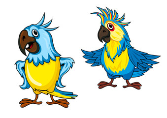 Yellow and blue parrots cartoon characters