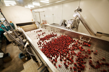 frozen raspberry processing business