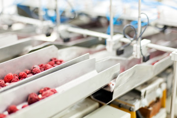 frozen raspberry processing business