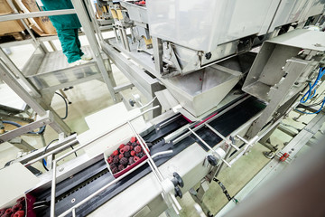 frozen raspberry processing business