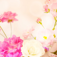 sweet color roses in soft color and blur style
