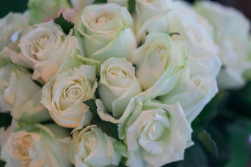 Wedding bouquet of white roses in the bride room