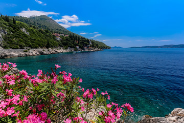 blue adriatric coast with flowers, mountains and houses