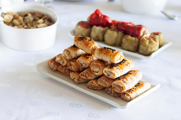 Turkish style borek