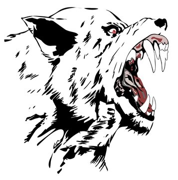 Wolf, 
Black wolf, 
Cartoon Angry Wolf Head, 
Vector illustration of wolf face