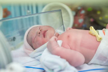 cute newborn baby