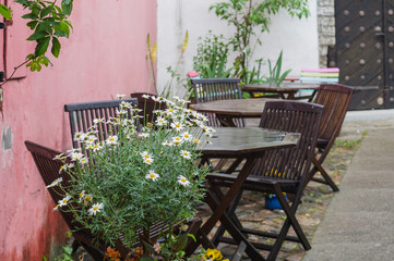 Outdoor terrace on courtyard with wooden furniture and camomile