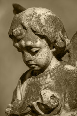 Stone Cherub with a sad expression