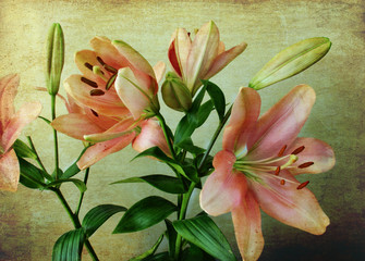 Fototapeta premium Floral still life, elegant pink lilies on a vintage background