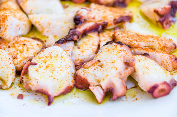 Galician octopus