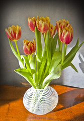 Glass vase with tulips on a wooden table with bright sunlight 