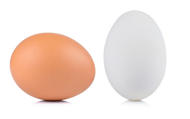 egg on white background