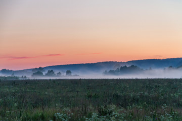лесной туман © zapuato