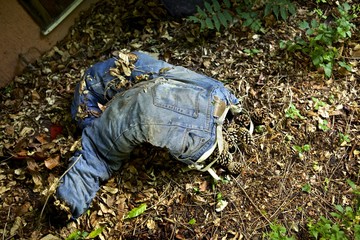 degrado, jeans con pigne di pino