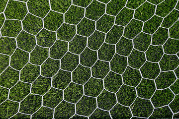 soccer net on green grass