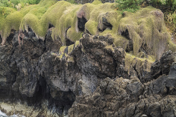 green cliff