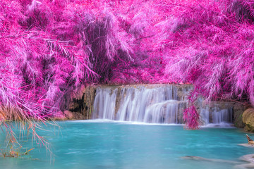Waterfall in rain forest (Tat Kuang Si Waterfalls at Luang praba