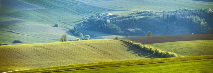 Fototapeten April on the hills of Slovakia © NemanTraveler