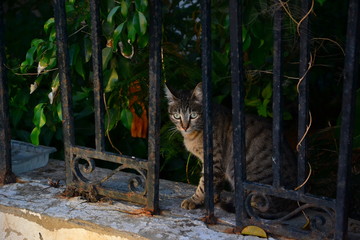 Lo sguardo del fotografo