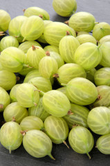 freshly picked gooseberries on slate