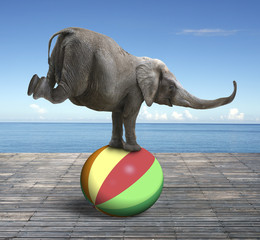 Naklejka premium Elephant balancing on a colorful ball