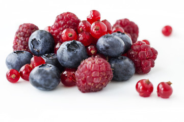 Freshly collecting wild berry fruits