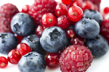 Freshly collecting wild berry fruits