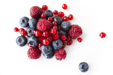 Freshly collecting wild berry fruits