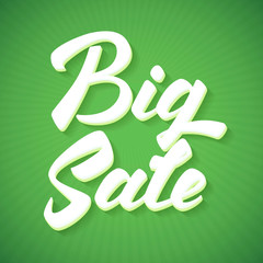 Big Sale Inscription. Calligraphy lettering. Vector illustration