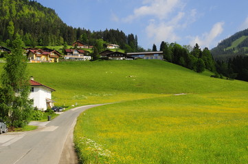 Typical Alps village, Gosau, Austria