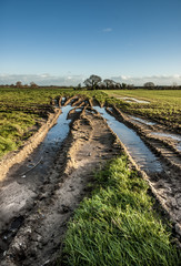 Fototapeta premium Field Tracks