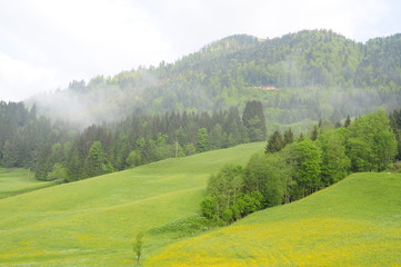 Typical Alps view, Gosau, Austria