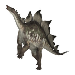Dinosaur Stegosaurus