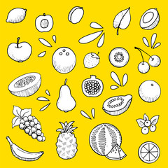 fruit set, hand drawn