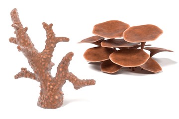 3d render of coral (aquarium decoration)