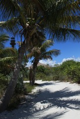 Dünenlandschaft am Leuchtturm von Sanibel Island